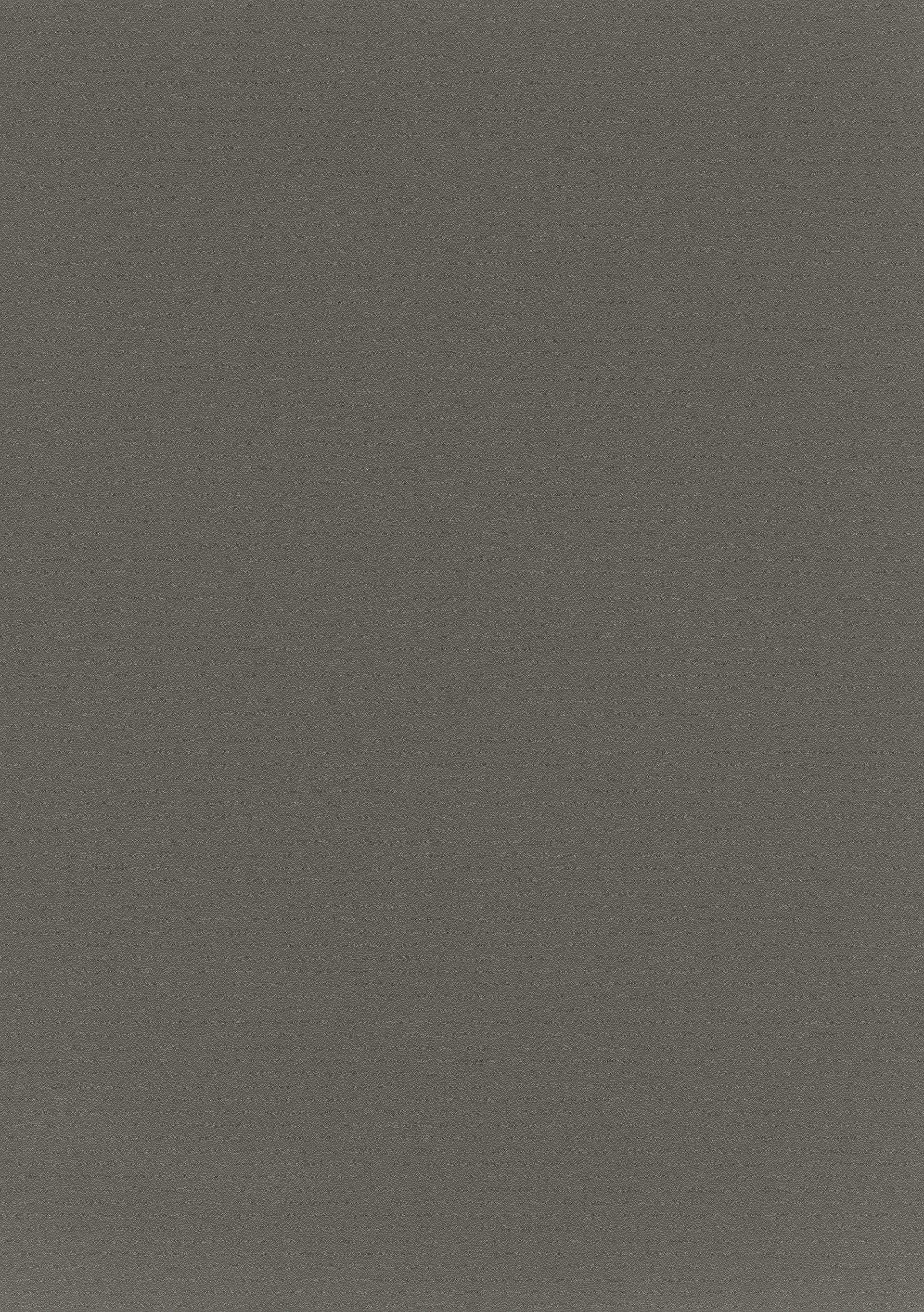 quarzgrau Feinstruktur